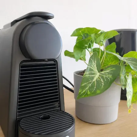 Zentral Wohnen Zwischen Rhein, Altstadt Und Reben * Rüdesheim am Rhein
